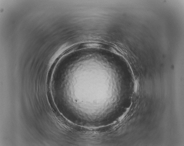 X0000064760195200602171808