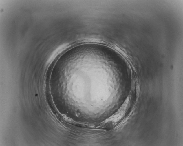 X0000064760199200602171808