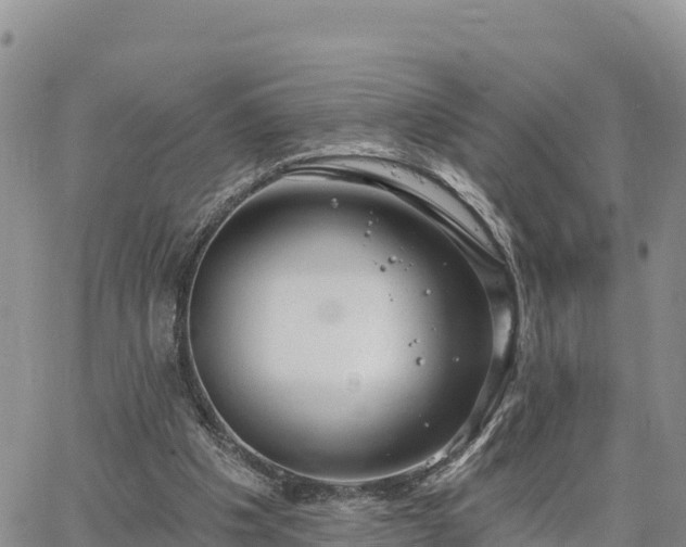X0000064760201200602171807