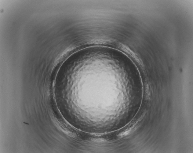 X0000064760203200602171807