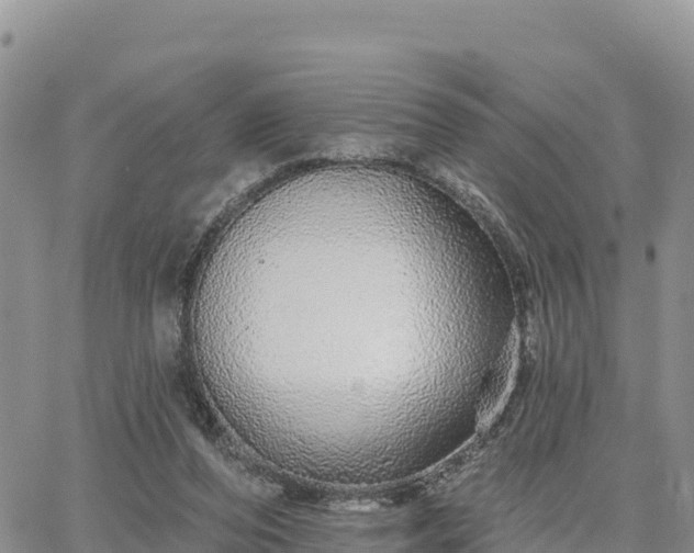 X0000064760208200602171807