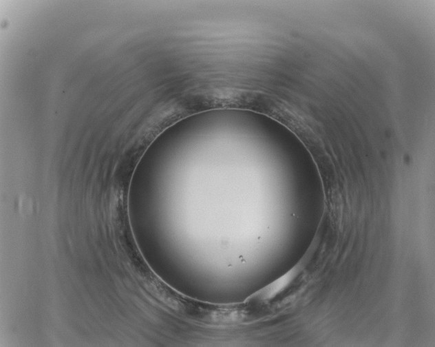 X0000064760225200602171807