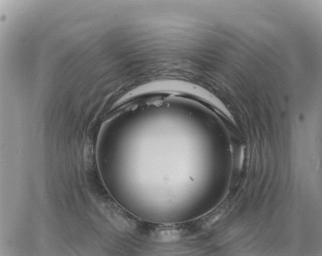 X0000064760228200602171807