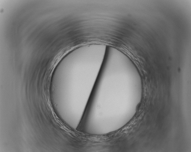 X0000064760241200602171806