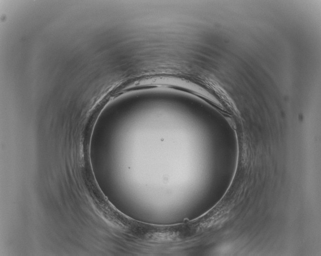 X0000064760251200602171806