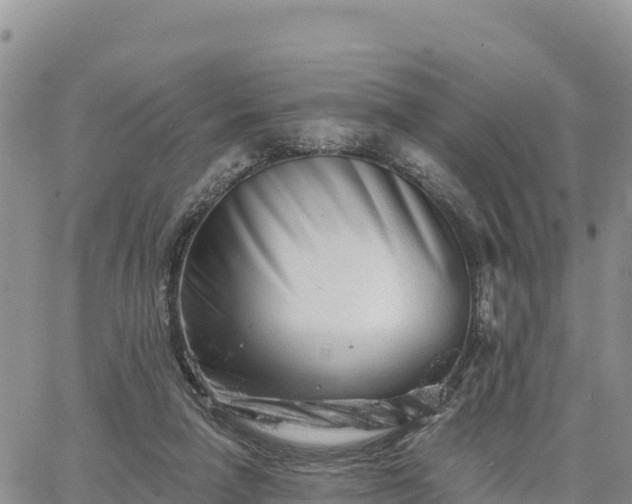 X0000064760258200602171806