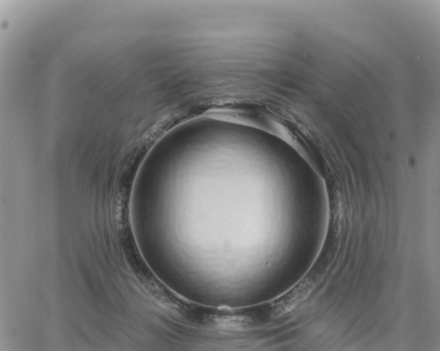 X0000064760268200602171806