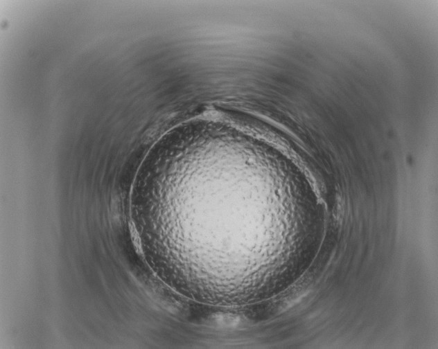 X0000064760272200602171807