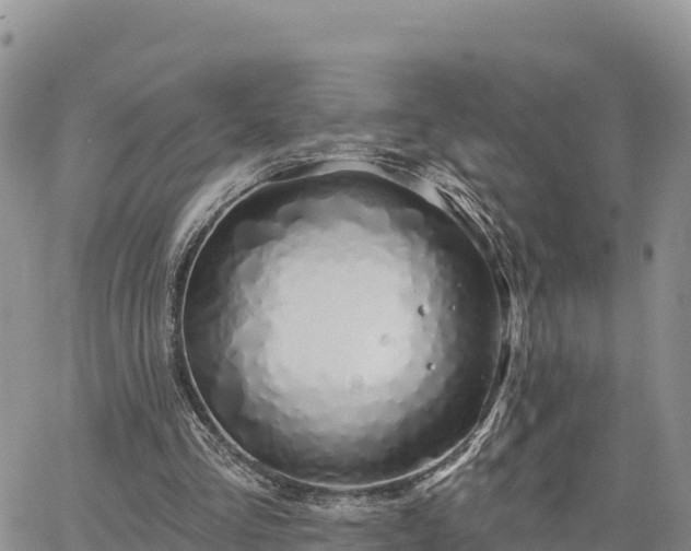 X0000064760293200602171806