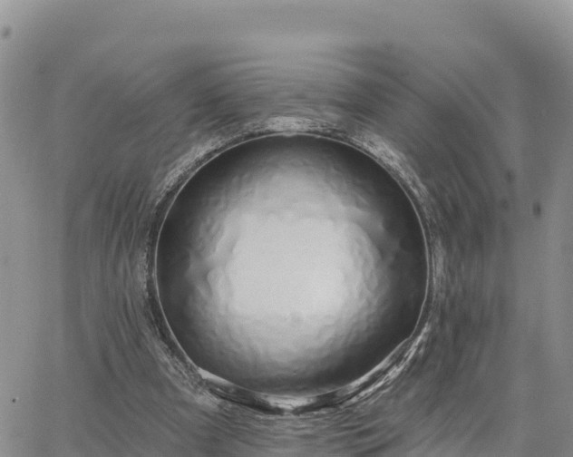 X0000064760297200602171806