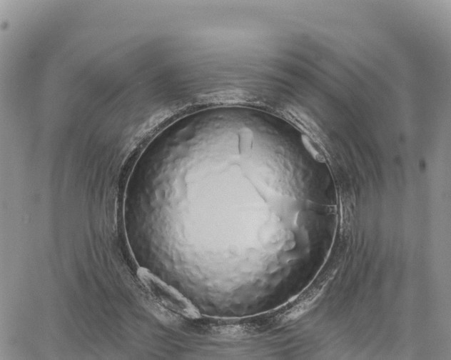X0000064760301200602171806