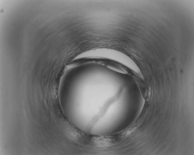 X0000064760331200602171805