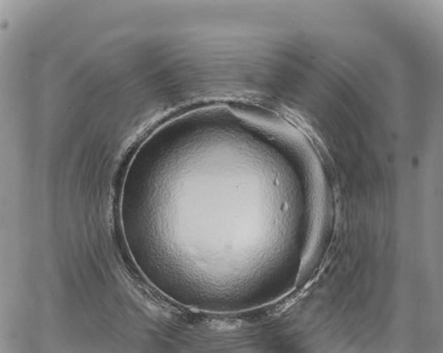 X0000064760346200602171804
