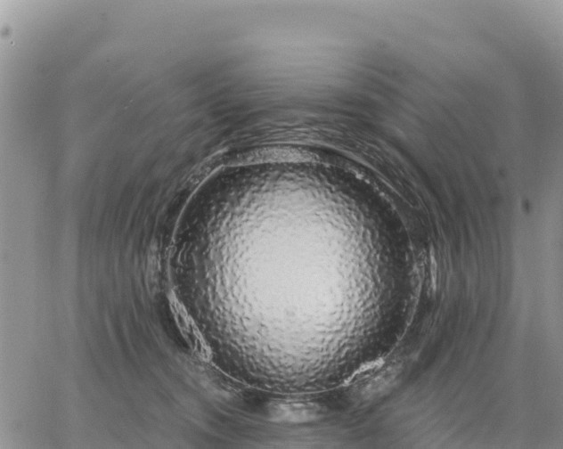 X0000064760372200602171805