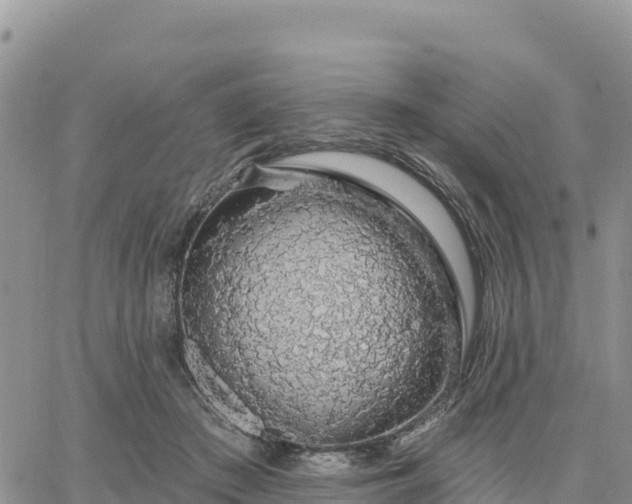 X0000064760409200602171804