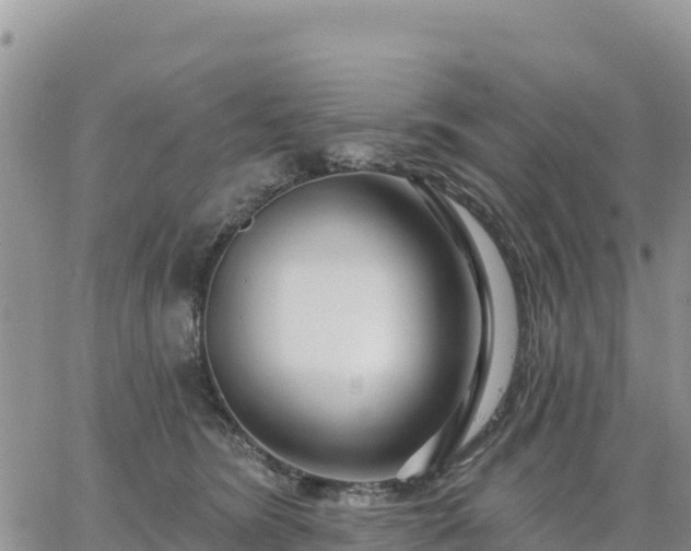 X0000064760420200602171804