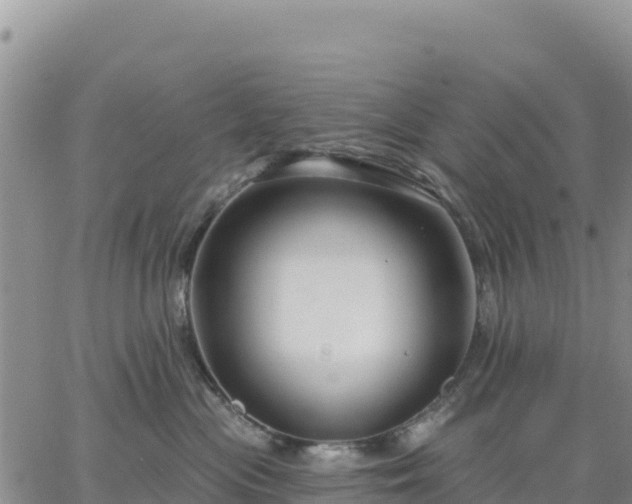 X0000064760477200602171803