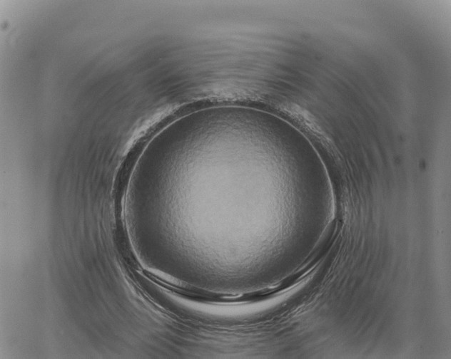 X0000064760488200602171802