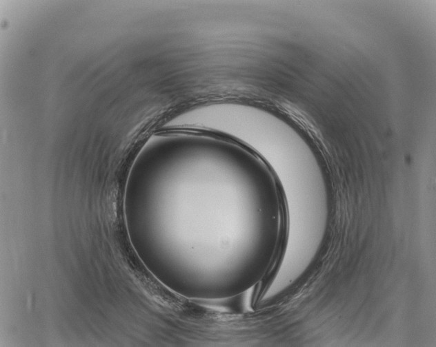X0000064760501200602171802