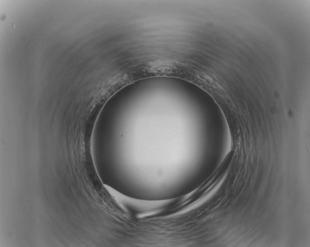 X0000064760508200602171802