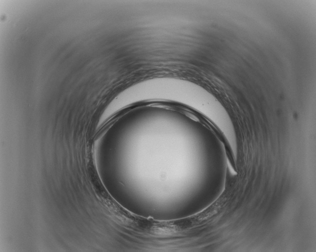 X0000064760510200602171802