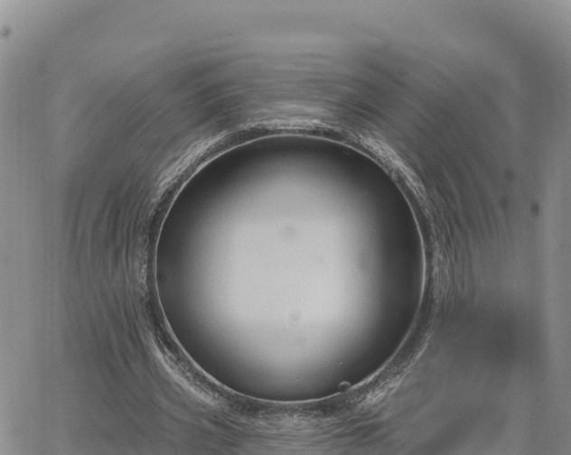 X0000064760533200602171801