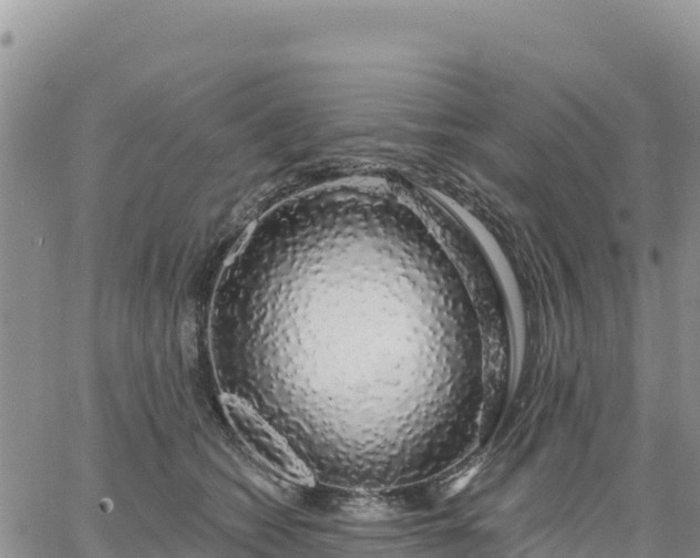 X0000064760562200602171802