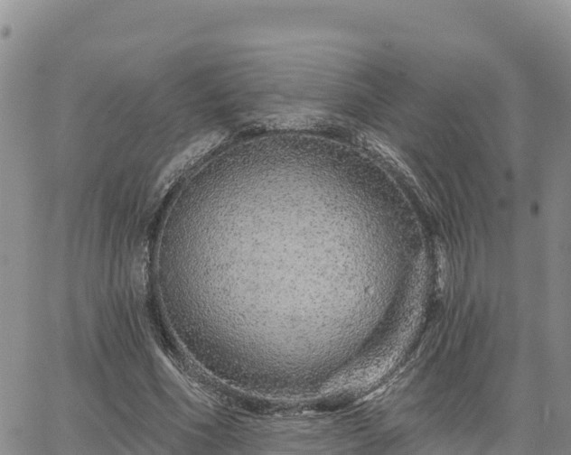 X0000064760586200602171801