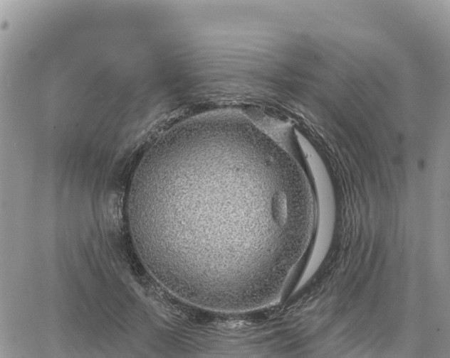 X0000064760695200602171759