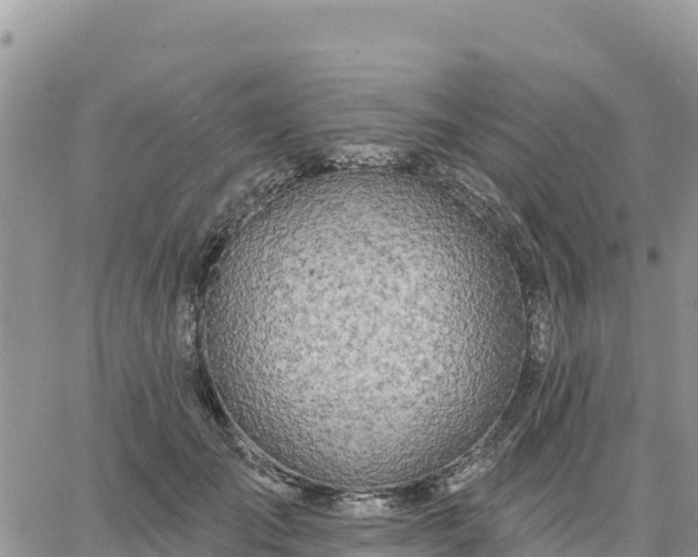X0000064760701200602171759