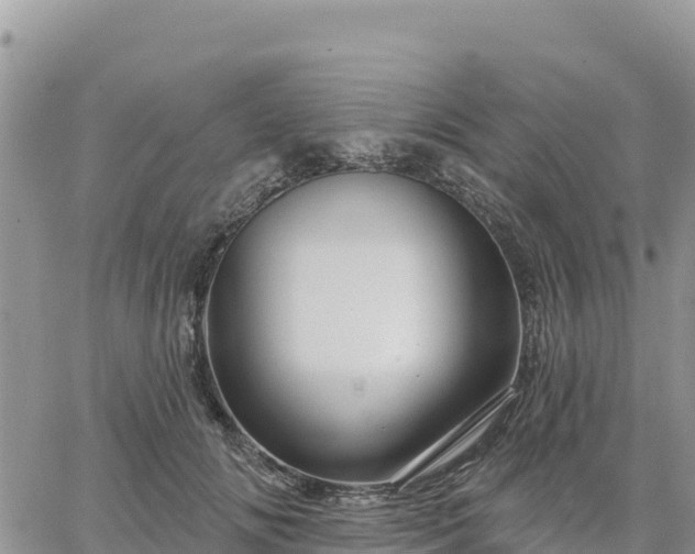 X0000064760702200602171759