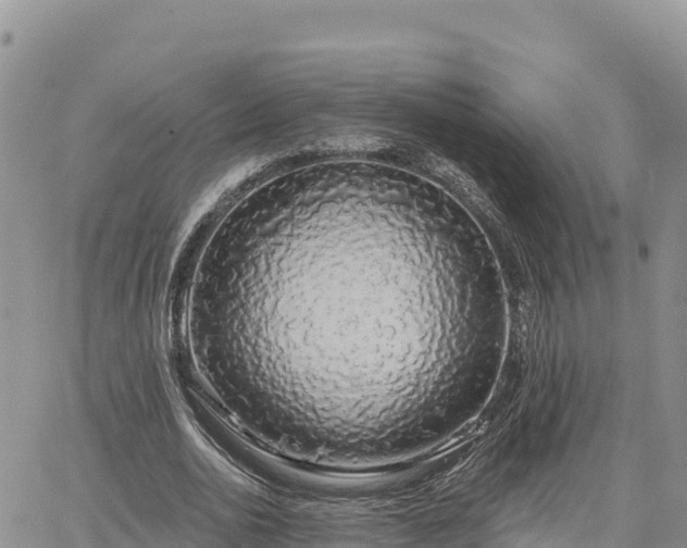 X0000064760726200602171758
