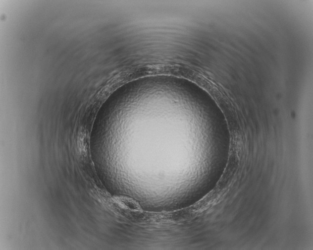 X0000064760770200602171758