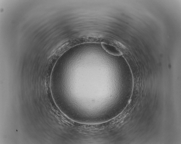 X0000064760774200602171758