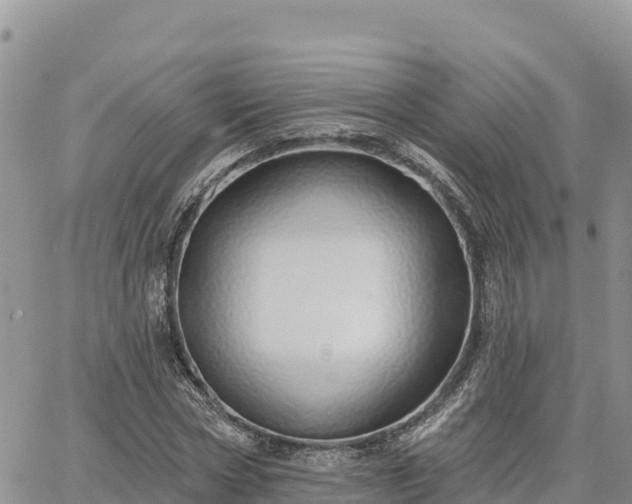 X0000064760778200602171758