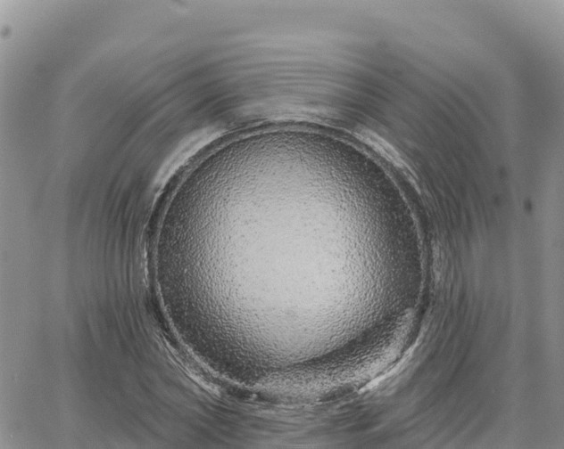 X0000064760782200602171758