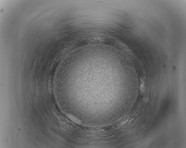 X0000064760819200602171756