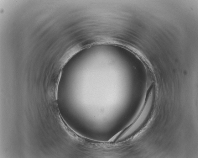 X0000064760905200602171756
