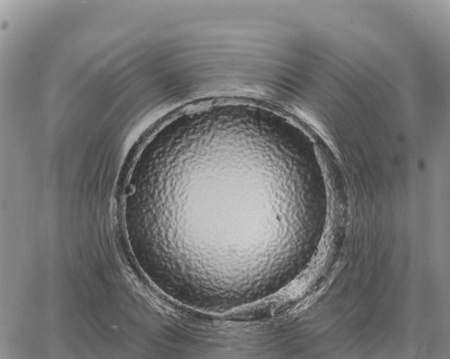 X0000064760928200602171755