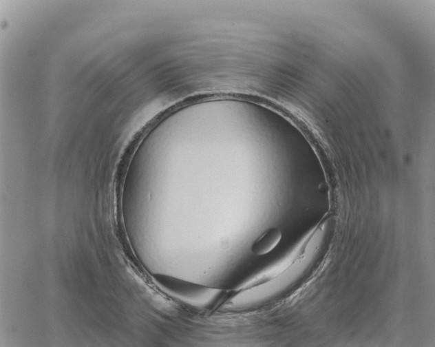 X0000064760982200602171754