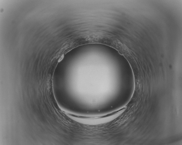 X0000064761012200602171753