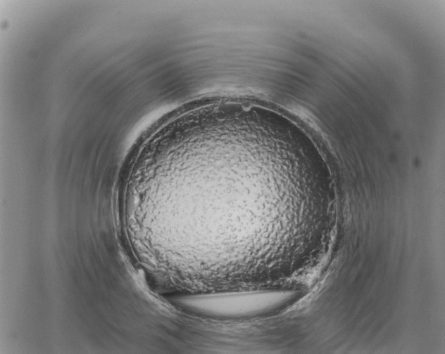 X0000064761030200602171753