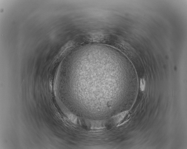 X0000064761155200602171751