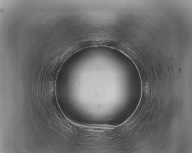 X0000064761204200602171750