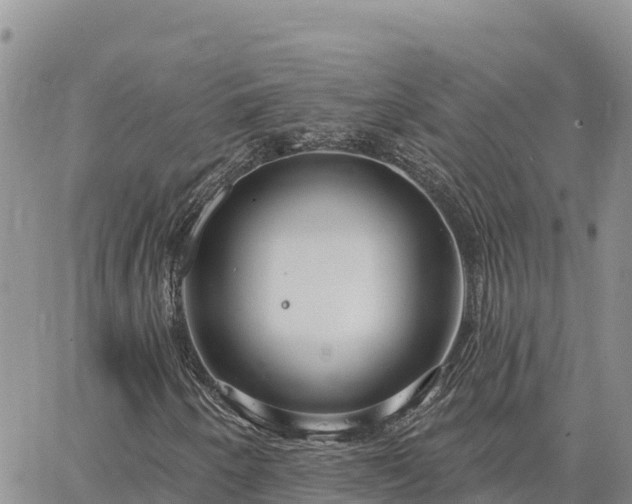 X0000064761250200602171750