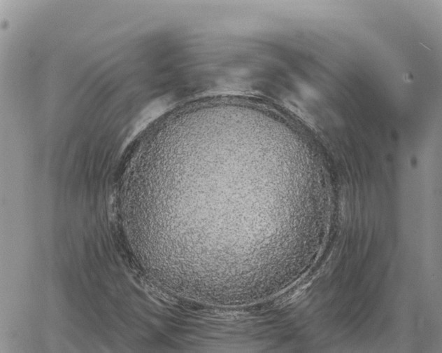X0000064761258200602171750