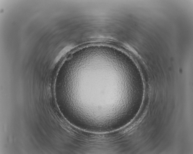 X0000064761259200602171750