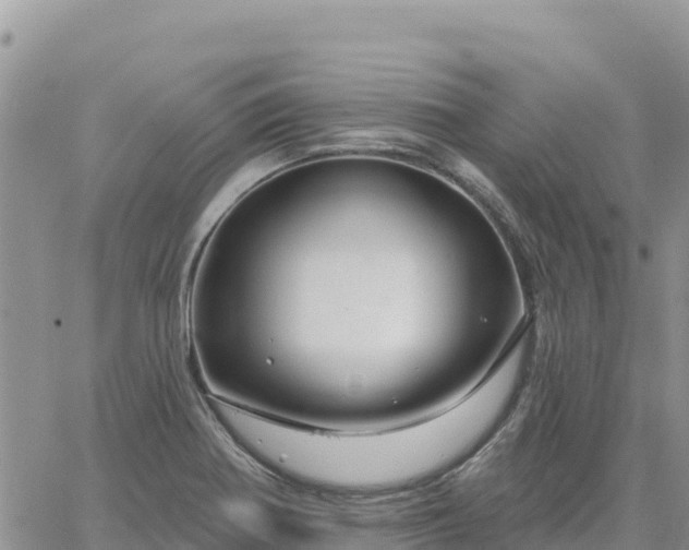 X0000064761370200602171748