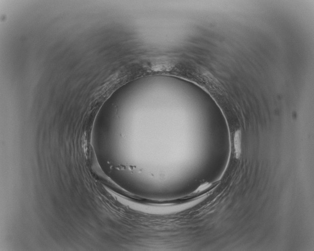 X0000064761443200602171747