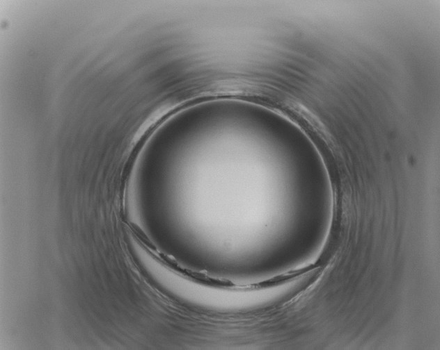 X0000064761465200602171746